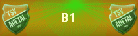 B1