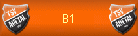 B1