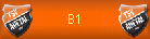 B1